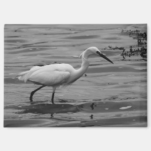 Little Egret Magnet