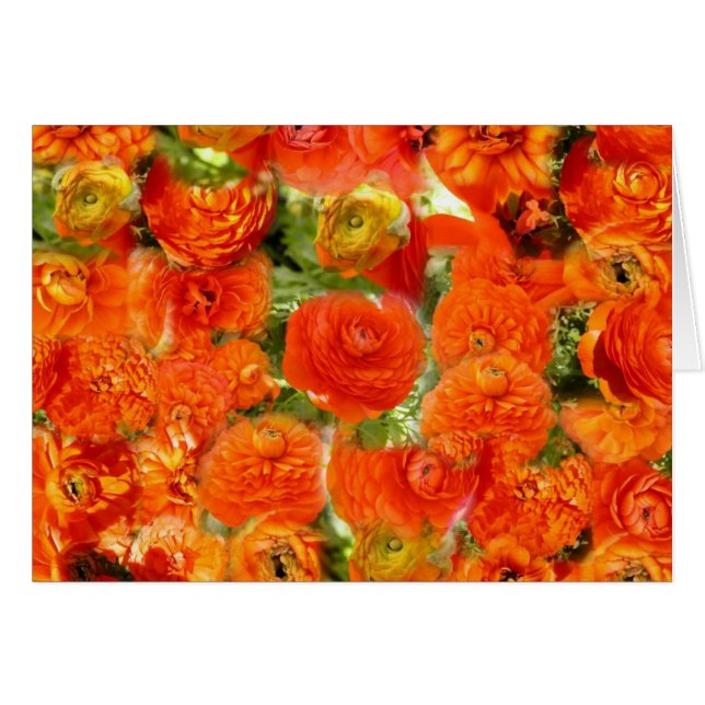 Little faces (Front Horizontal)