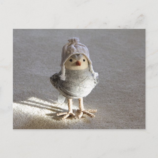 Little Felt Birdie with Hat Postcard (Front)