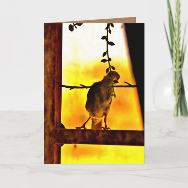 Little Finch Card (Front)