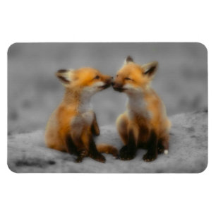 Little Fox Love Magnet