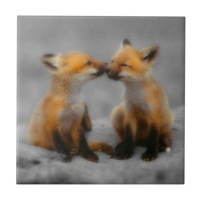 Little Fox Love Tile (Front)