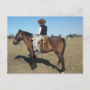 Little Gaucho Postcard