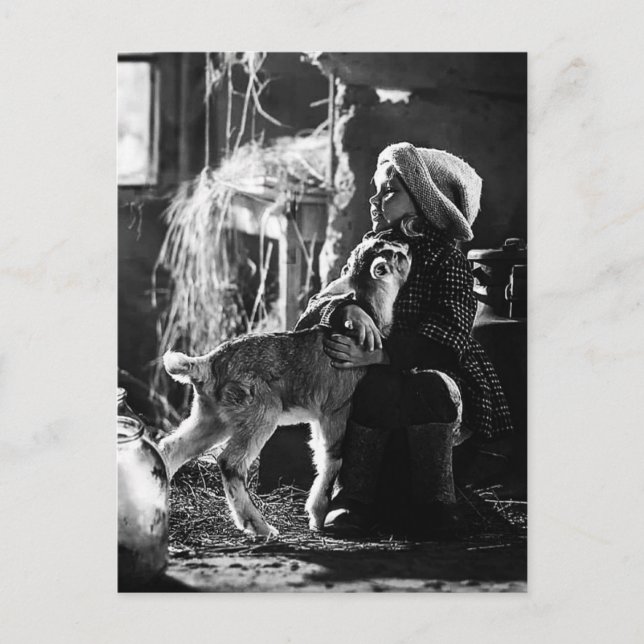 Little girl and goat postcard (Front)