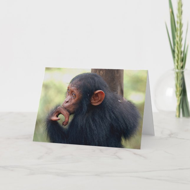 Little Girl Card (Front)