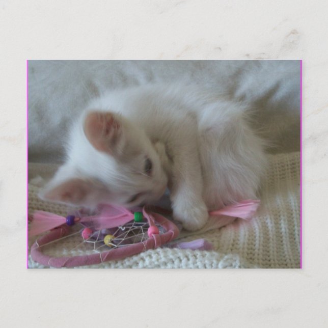 Little Girl Kitty Postcard #2 (Front)