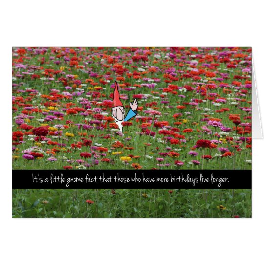 Little Gnome Fact Humourous Birthday Card