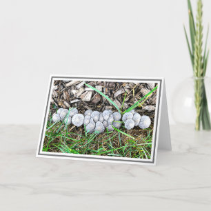 Little Gray Mushrooms In Garden After Rainy Night Card