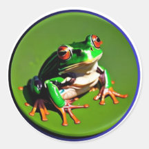 Little Green Frog on a Lilly Pad #3