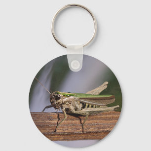 Little Green Grasshopper Keyring
