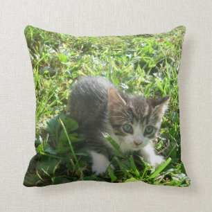 Little Grey Boy Throw Pillow
