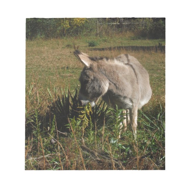Little grey Donkey w / wildflowers Notepad (Front)
