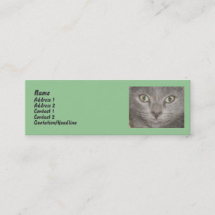 Little Grey Kitten profile cards