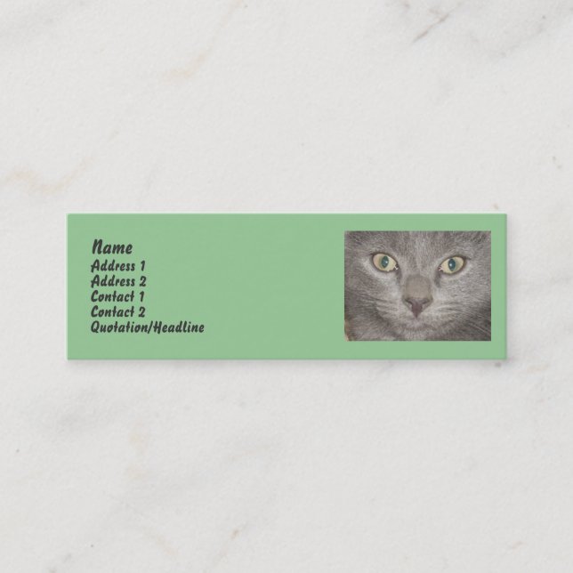 Little Grey Kitten profile cards (Front)