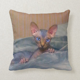 Little grey Sphynx kitten Throw Pillow