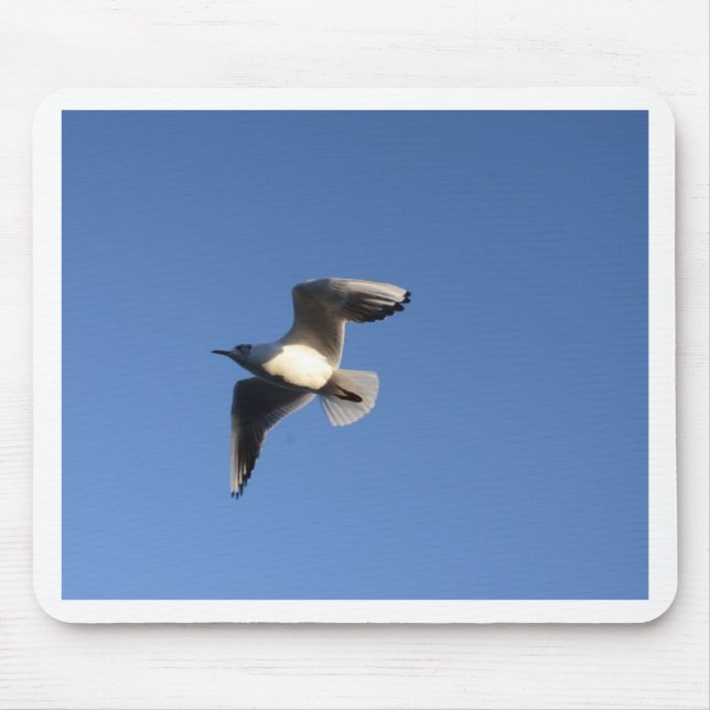 Little Gull Mouse Pad (Front)