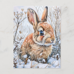 Little Hare in Snowy Field. Rabbit Bunny Postcard