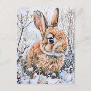 Little Hare in Snowy Field. Rabbit Bunny Postcard
