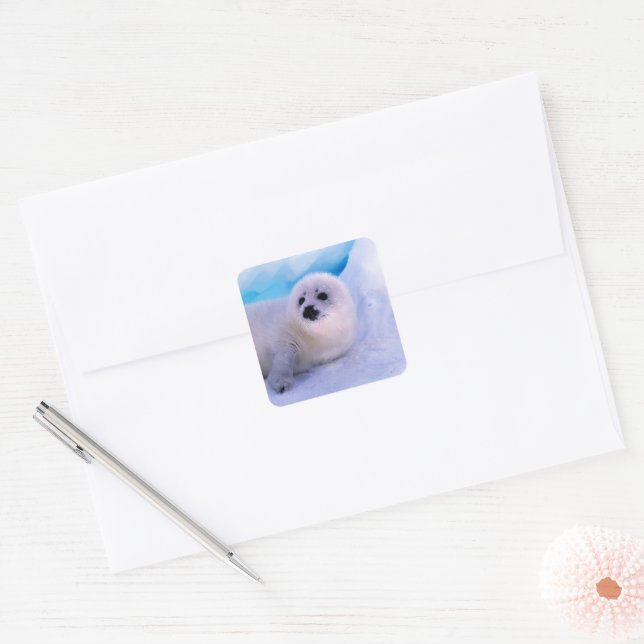 Little Harp Seal Pup Covered in Snowflakes (Envelope)