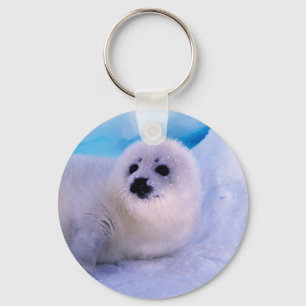 Little Harp Seal Pup Covered in Snowflakes Keychain