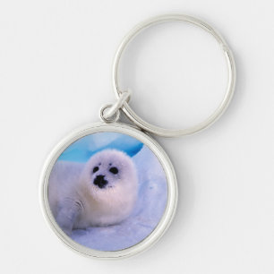 Little Harp Seal Pup Covered in Snowflakes Keychain