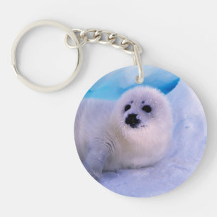 Little Harp Seal Pup Covered in Snowflakes Keychain