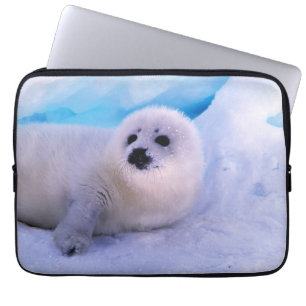Little Harp Seal Pup Covered in Snowflakes Laptop Sleeve