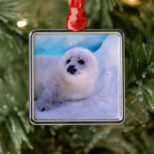 Little Harp Seal Pup Covered in Snowflakes Metal Ornament