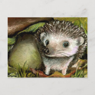 Little hedgehog postcard