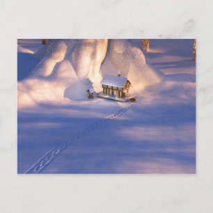 Little House in the Snow Postcard