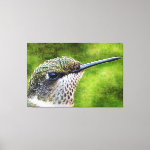 Little Hummer Canvas Print