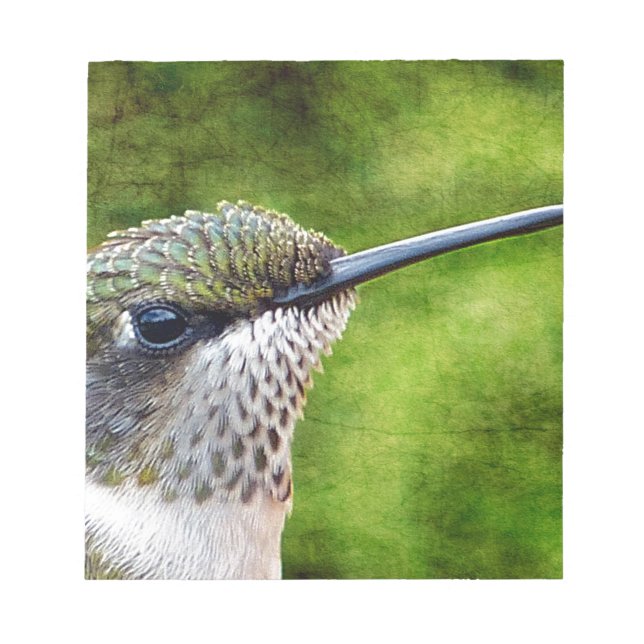 Little Hummer Notepad (Front)