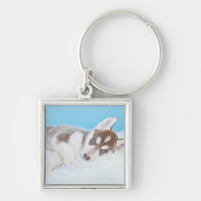 Little Husky Puppy Laying on a Blanket Keychain (Front)