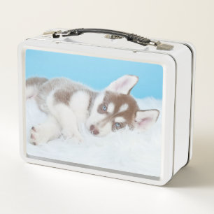 Little Husky Puppy Laying on a Blanket Metal Lunch Box