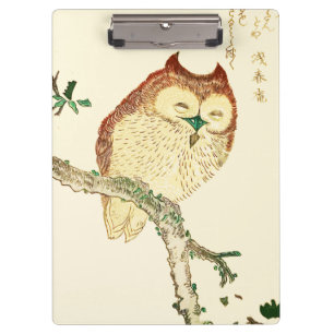 Little Japanese owl Clipboard