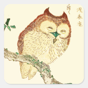 Little Japanese owl Square Sticker