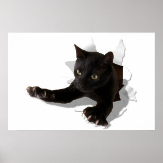 little jumping panther poster