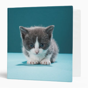 Little Kitten Binder