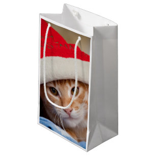 Little Kitten in Red Christmas Hat Small Gift Bag