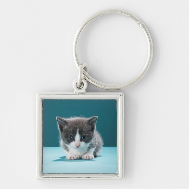 Little Kitten Keychain (Front)