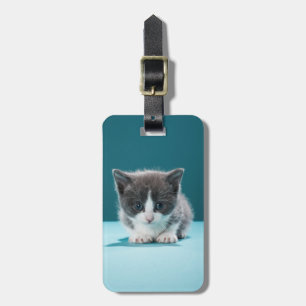 Little Kitten Luggage Tag