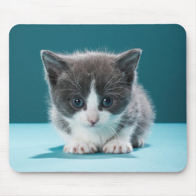 Little Kitten Mouse Pad (Front)