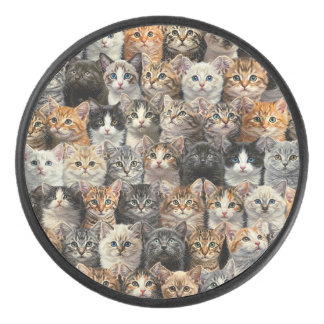 Little Kittens Parade 