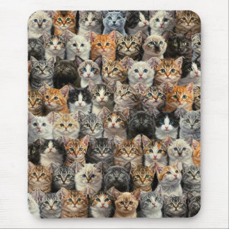 Little Kittens Parade  Mouse Pad