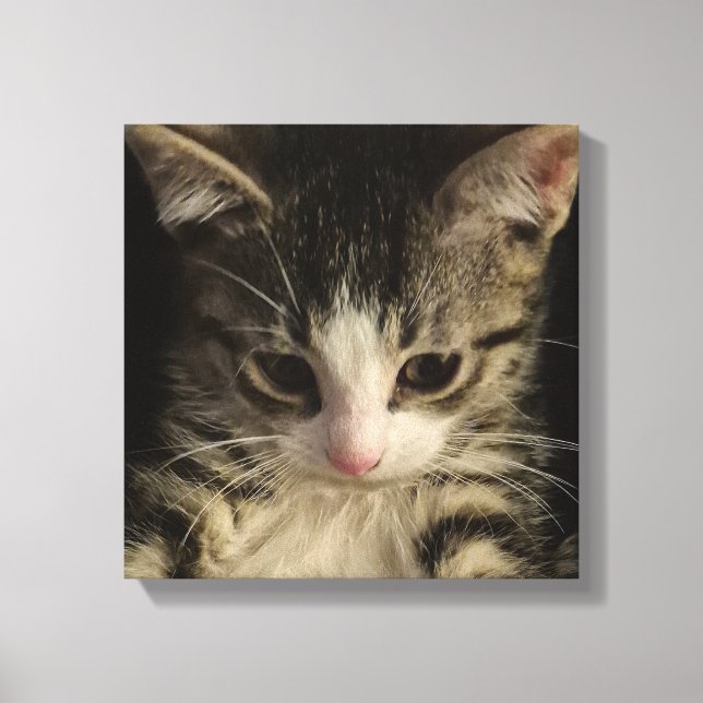 Little kitty canvas print (Front)
