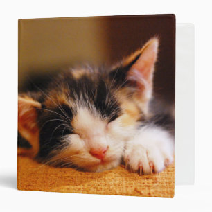 Little Kitty Sleeping Binder
