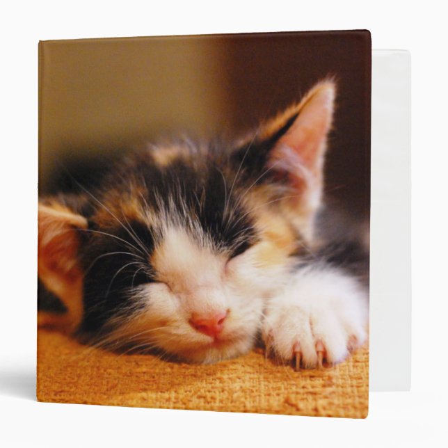 Little Kitty Sleeping Binder (Front/Inside)