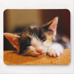 Little Kitty Sleeping Mouse Pad