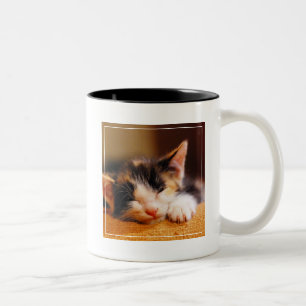 Little Kitty Sleeping Two-Tone Coffee Mug