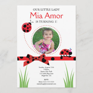 Little Lady Bug Birthday Invitation
